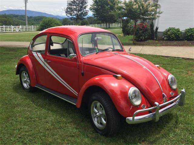 1966 Volkswagen Beetle (CC-1120287) for sale in Cadillac, Michigan