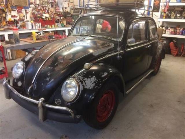 1966 Volkswagen Beetle (CC-1122876) for sale in Cadillac, Michigan