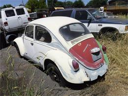 1968 Volkswagen Beetle (CC-1122878) for sale in TULELAKE, California