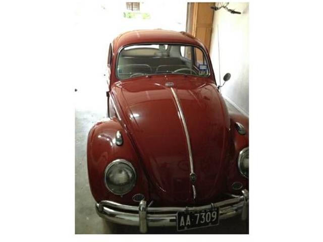 1962 Volkswagen Beetle (CC-1120293) for sale in Cadillac, Michigan