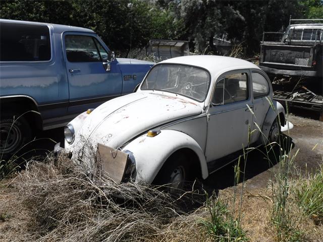 1967 Volkswagen Beetle (CC-1122970) for sale in TULELAKE, California