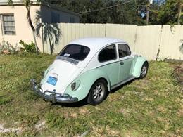 1966 Volkswagen Beetle (CC-1123463) for sale in Cadillac, Michigan
