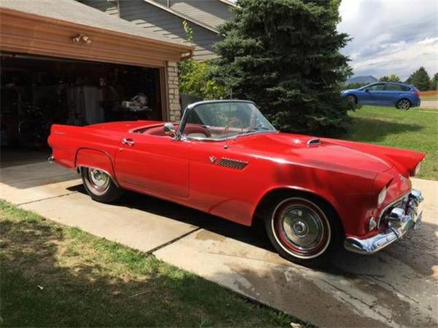 1955 Ford Thunderbird (CC-1123758) for sale in Cadillac, Michigan
