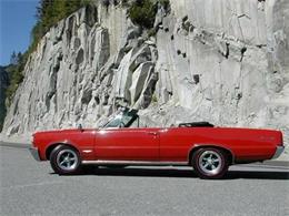 1964 Pontiac GTO (CC-1123851) for sale in Cadillac, Michigan