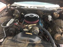 1975 Pontiac Catalina (CC-1123991) for sale in Cadillac, Michigan