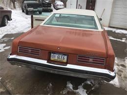 1975 Pontiac Catalina (CC-1123991) for sale in Cadillac, Michigan