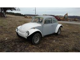 1973 Volkswagen Beetle (CC-1123994) for sale in Cadillac, Michigan