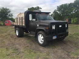 1974 Chevrolet C60 (CC-1120407) for sale in Cadillac, Michigan