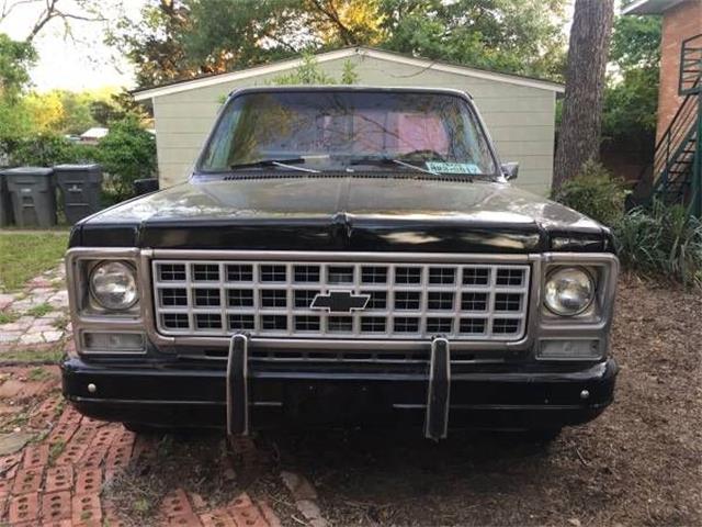 1980 Chevrolet C10 (CC-1120408) for sale in Cadillac, Michigan