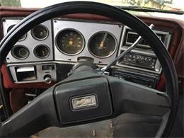 1980 Chevrolet C10 (CC-1120408) for sale in Cadillac, Michigan
