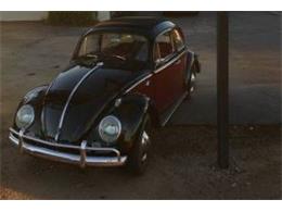 1963 Volkswagen Beetle (CC-1124129) for sale in Cadillac, Michigan