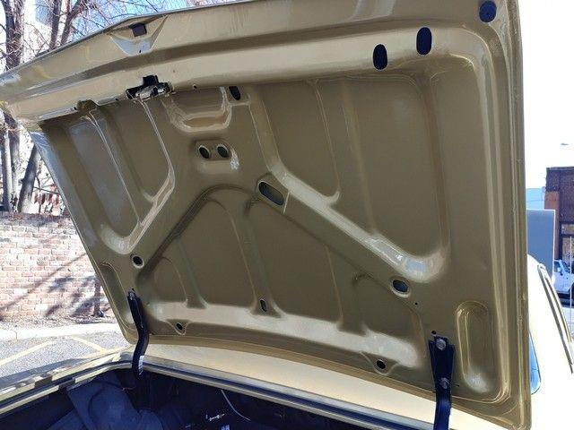1969 Chevrolet Biscayne (CC-1124195) for sale in Cadillac, Michigan