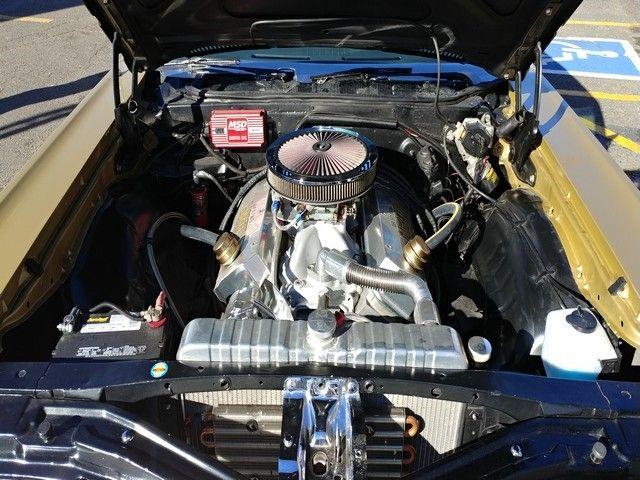 1969 Chevrolet Biscayne (CC-1124195) for sale in Cadillac, Michigan