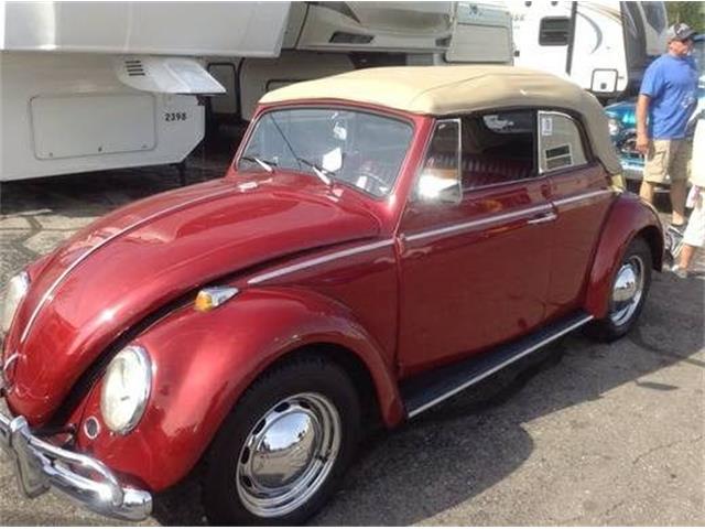 1964 Volkswagen Beetle (CC-1124335) for sale in Cadillac, Michigan