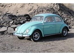 1962 Volkswagen Beetle (CC-1124367) for sale in Cadillac, Michigan