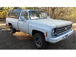1976 Chevrolet Pickup (CC-1124660) for sale in Cadillac, Michigan