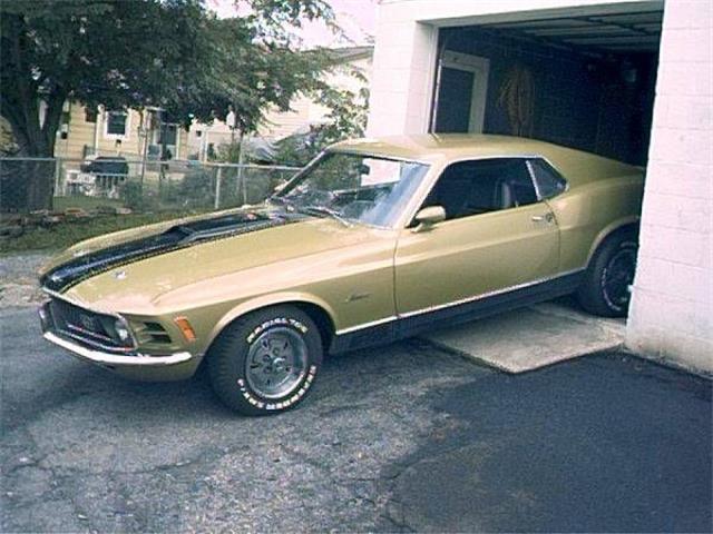 1970 Ford Mustang (CC-1124748) for sale in Cadillac, Michigan