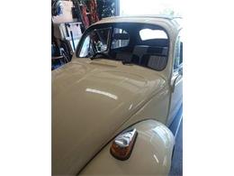 1971 Volkswagen Beetle (CC-1124944) for sale in Cadillac, Michigan