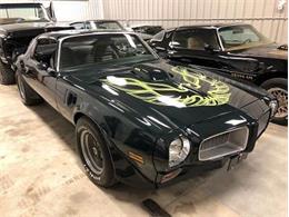 1973 Pontiac Firebird (CC-1125028) for sale in Cadillac, Michigan