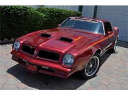 1976 Pontiac Firebird (CC-1125054) for sale in Cadillac, Michigan