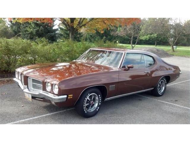 1971 Pontiac LeMans (CC-1120054) for sale in Cadillac, Michigan