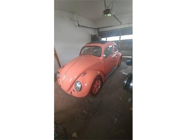 1960 Volkswagen Beetle (CC-1125507) for sale in Cadillac, Michigan