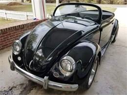 1959 Volkswagen Beetle (CC-1120553) for sale in Cadillac, Michigan