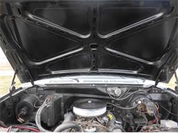 1980 Ford F350 (CC-1125546) for sale in Cadillac, Michigan