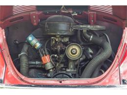 1970 Volkswagen Beetle (CC-1125569) for sale in Cadillac, Michigan