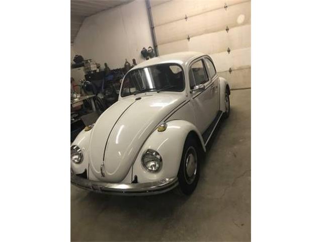 1969 Volkswagen Beetle (CC-1125666) for sale in Cadillac, Michigan