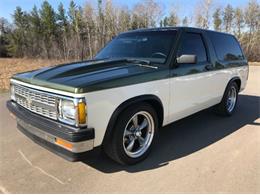 1984 Chevrolet Blazer (CC-1125675) for sale in Cadillac, Michigan