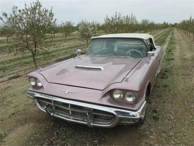 1960 Ford Thunderbird (CC-1125687) for sale in Cadillac, Michigan