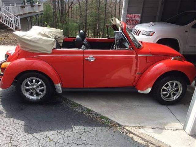 1979 Volkswagen Beetle (CC-1125994) for sale in Cadillac, Michigan