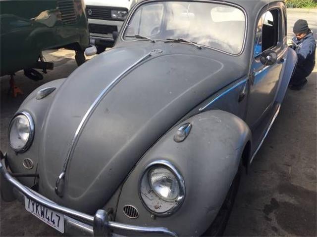1963 Volkswagen Beetle (CC-1126000) for sale in Cadillac, Michigan
