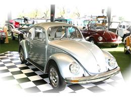 1983 Volkswagen Beetle (CC-1120627) for sale in Cadillac, Michigan