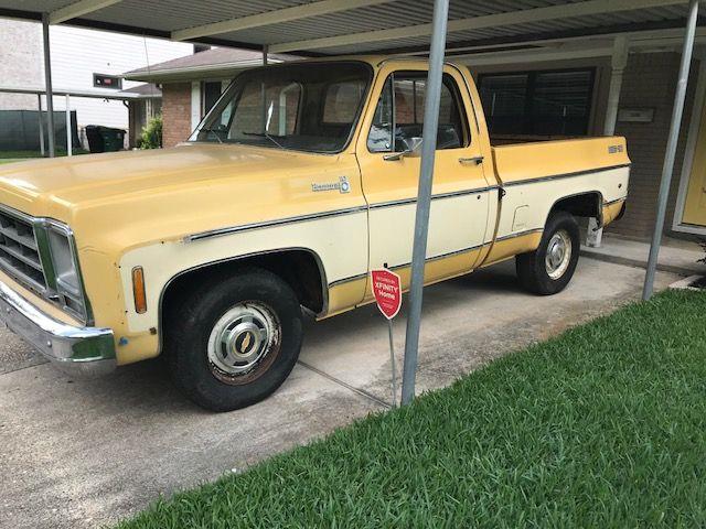 1979 Chevrolet C10 (CC-1126300) for sale in Cadillac, Michigan