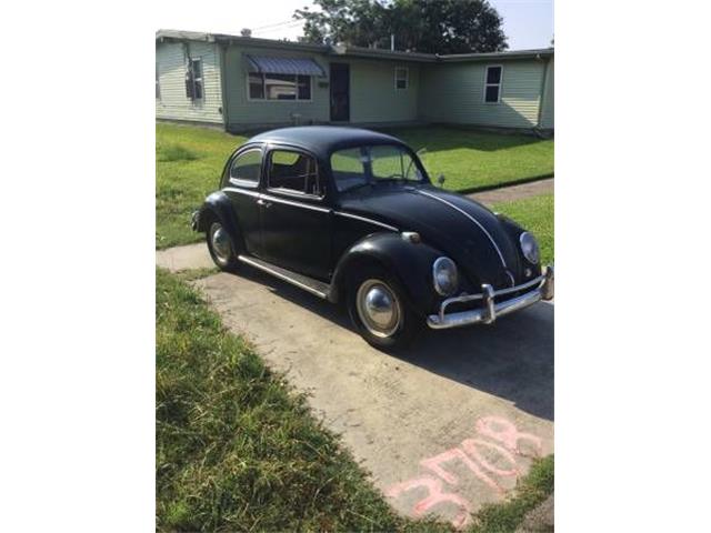 1964 Volkswagen Beetle (CC-1126393) for sale in Cadillac, Michigan