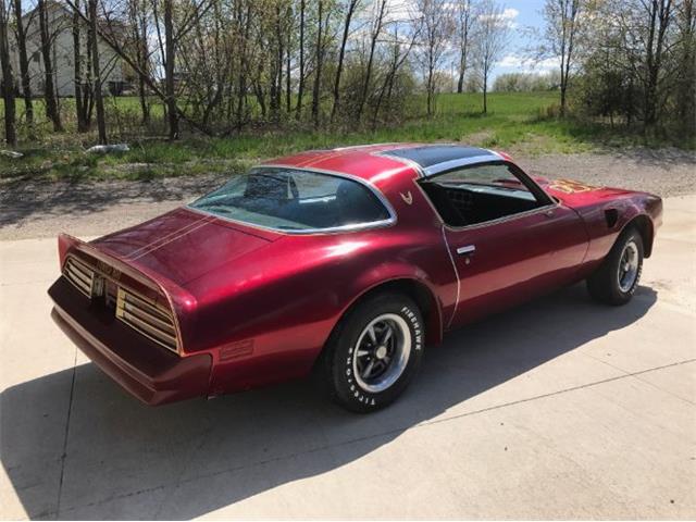 1977 Pontiac Firebird Trans Am (CC-1126465) for sale in Cadillac, Michigan