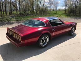 1977 Pontiac Firebird Trans Am (CC-1126465) for sale in Cadillac, Michigan