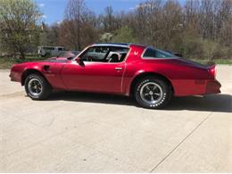 1977 Pontiac Firebird Trans Am (CC-1126465) for sale in Cadillac, Michigan