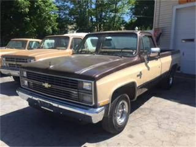 1984 Chevrolet C10 (CC-1126636) for sale in Cadillac, Michigan