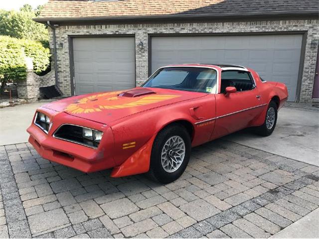 1977 Pontiac Firebird Trans Am (CC-1126664) for sale in Cadillac, Michigan