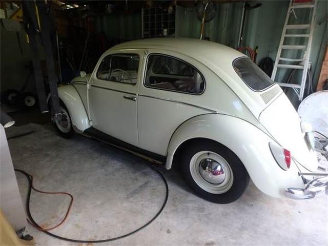 1964 Volkswagen Beetle (CC-1120668) for sale in Cadillac, Michigan