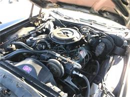 1978 Ford Thunderbird (CC-1126789) for sale in Cadillac, Michigan