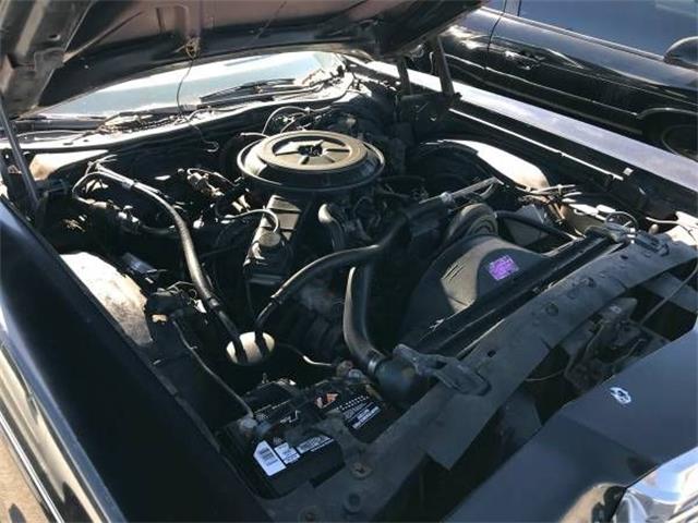 1978 Ford Thunderbird (CC-1126789) for sale in Cadillac, Michigan