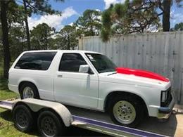 1989 Chevrolet Blazer (CC-1126889) for sale in Cadillac, Michigan