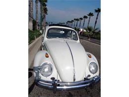 1961 Volkswagen Beetle (CC-1127007) for sale in Cadillac, Michigan