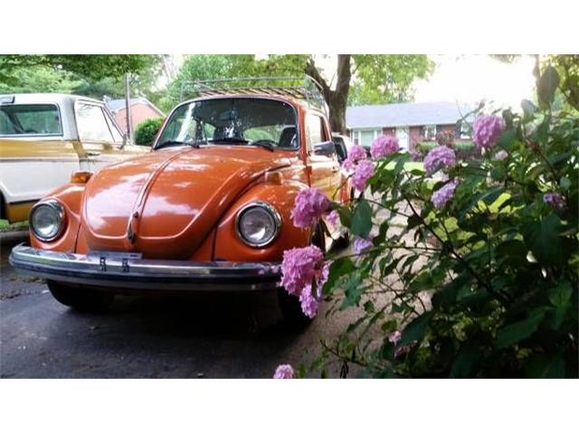 1974 Volkswagen Super Beetle (CC-1127129) for sale in Cadillac, Michigan