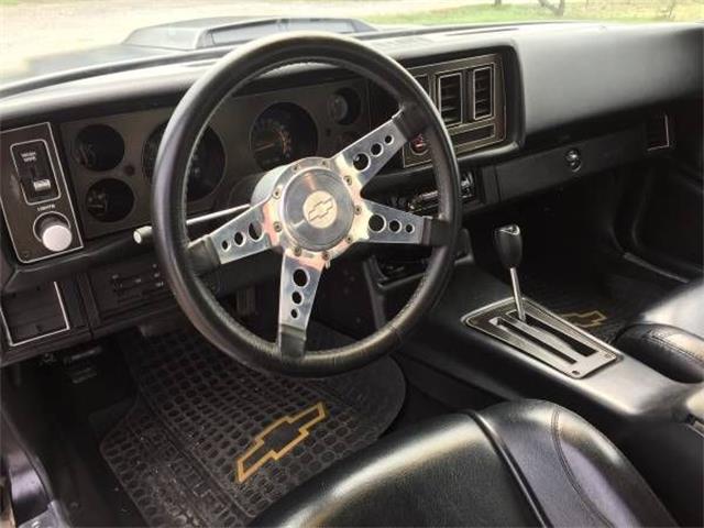 1980 Chevrolet Camaro (CC-1127175) for sale in Cadillac, Michigan