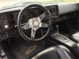 1980 Chevrolet Camaro (CC-1127175) for sale in Cadillac, Michigan